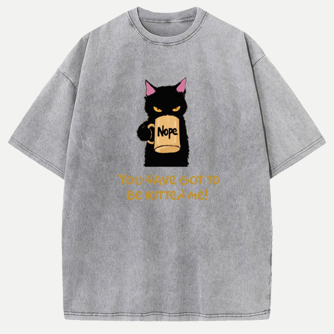 You Have Got To Be Kitten Me Cat Vintage T-Shirt