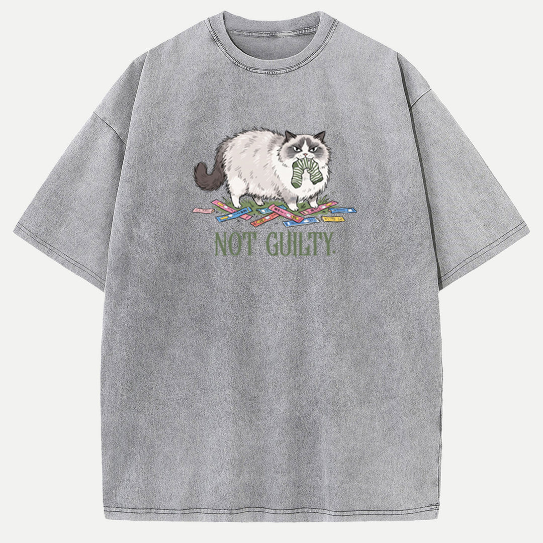Not Guilty Mischievous Cat T-Shirt