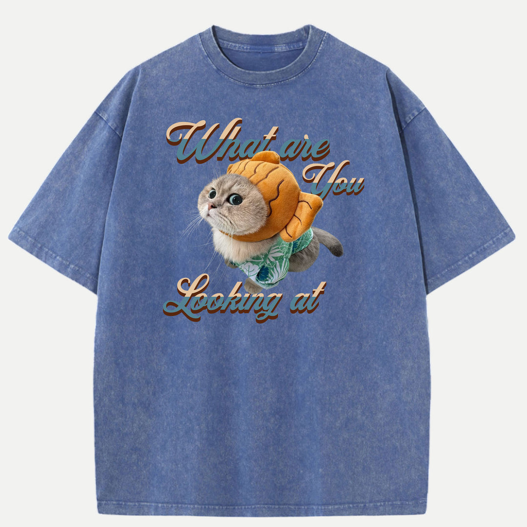 What Are You Looking At Cat T-Shirt